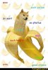 2f4ddca9e6f2a3c2af9bb4bf5f983415.jpg