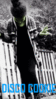 discocookie_360.gif