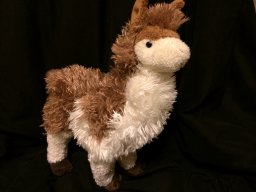 Llama