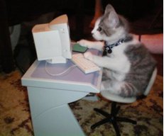 meowmix_