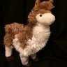 Llama