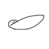 Golden_Obsidian