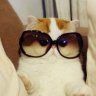 fluffypuff1234