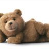 TedNC