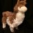 Llama