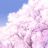 Petals4013